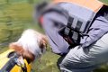 キャンプ場で『川に…の画像