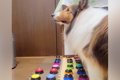 『お仕事やめてほし…の画像