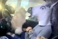 車でパパを待つ犬た…の画像