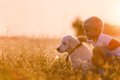 今一度考えよう犬と…の画像