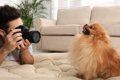 犬がカメラを嫌がる…の画像