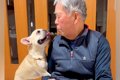 犬を連れて実家に帰…の画像