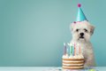 犬の誕生日にできる…の画像