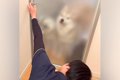 息子が帰宅後、ドア…の画像