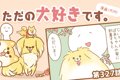 ただの犬好きです。…の画像