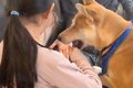 テンション高めで遊…の画像