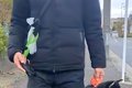 犬が散歩で歩かなく…の画像