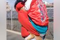 大型犬が『散歩で歩…の画像