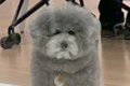 仕事のミーティング…の画像