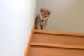 帰るたび『おかえり…の画像
