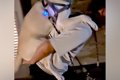 夜、31キロの大型犬…の画像