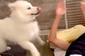 『弟が起きないから…の画像