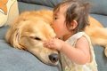 ワンコへの愛が溢れ…の画像
