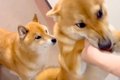 大好きな人が遊びに…の画像