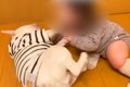 同じ大きさだった『…の画像
