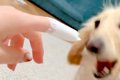 指に貼った『絆創膏…の画像