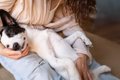 犬に好かれる飼い主…の画像