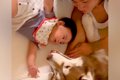 赤ちゃんが大型犬２…の画像