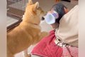 お父さんの後頭部を…の画像