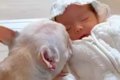 赤ちゃんが『生まれ…の画像