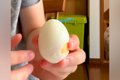 『大好きなゆで卵』…の画像