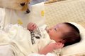 生まれたばかりの赤…の画像