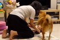 2歳の女の子をあやす…の画像