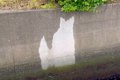 愛犬を亡くし、塞ぎ…の画像