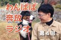 犬のおべんきょう♪わ…の画像