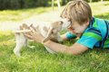 思春期の子供が犬を…の画像