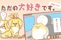 ただの犬好きです。…の画像