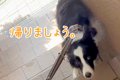 『無理です。帰りま…の画像