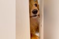 洗面所で準備をして…の画像