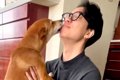 犬に内緒で『息子が…の画像
