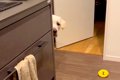 キッチンにオモチャ…の画像