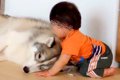 1歳の男の子が『大型…の画像