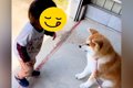 犬が大好きな『１歳…の画像