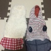 犬の洋服選びのポイ…の画像