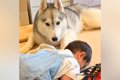 『赤ちゃんの子守り…の画像