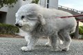 『向かい風』を受け…の画像
