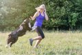 犬が飼い主に『突進…の画像