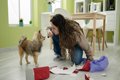 愛犬に『イライラ』…の画像