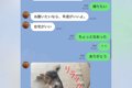 母とのLINE→いつも『…の画像