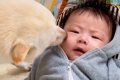 赤ちゃんだった男の…の画像
