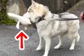 外まで『お気に入り…の画像