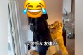 犬が苦手な友人に『…の画像