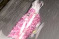 散歩中の犬に『帰っ…の画像