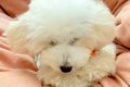 不安からいつも座っ…の画像