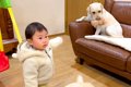 1歳の女の子の『ぬい…の画像