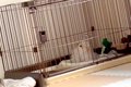 生まれて初めて『ピ…の画像